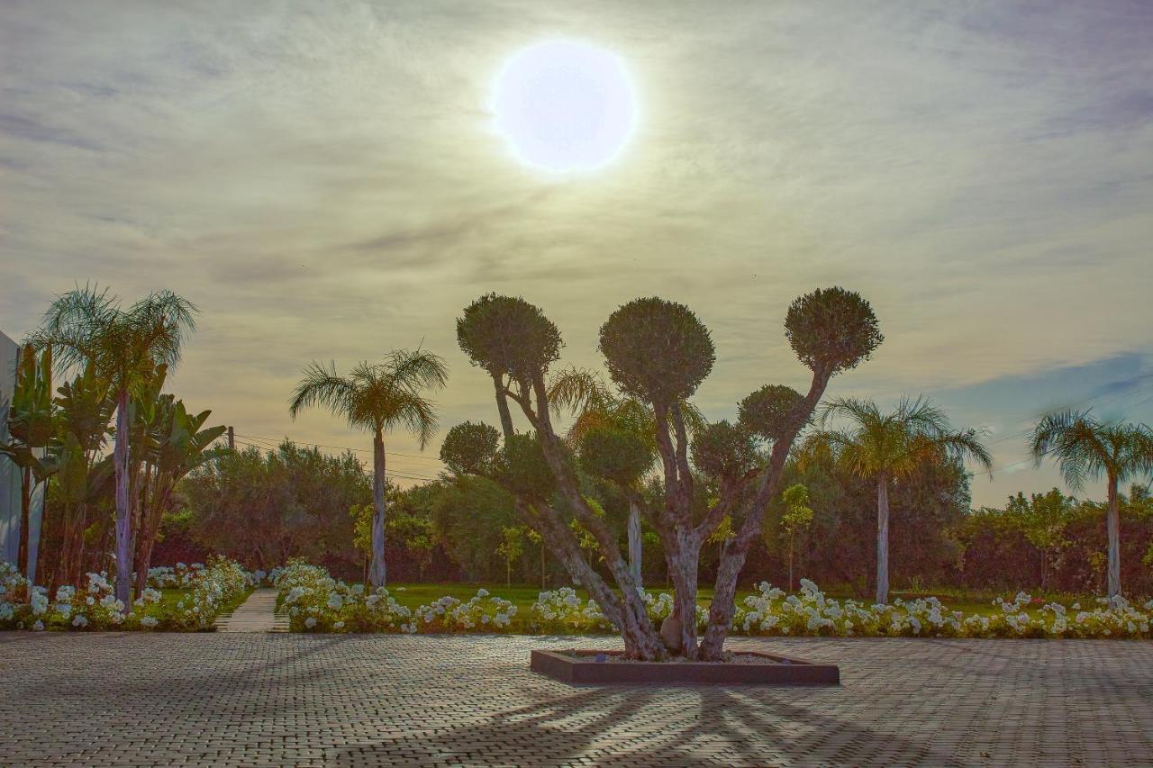 Villa Jardins D'Isa Marrakesh Buitenkant foto