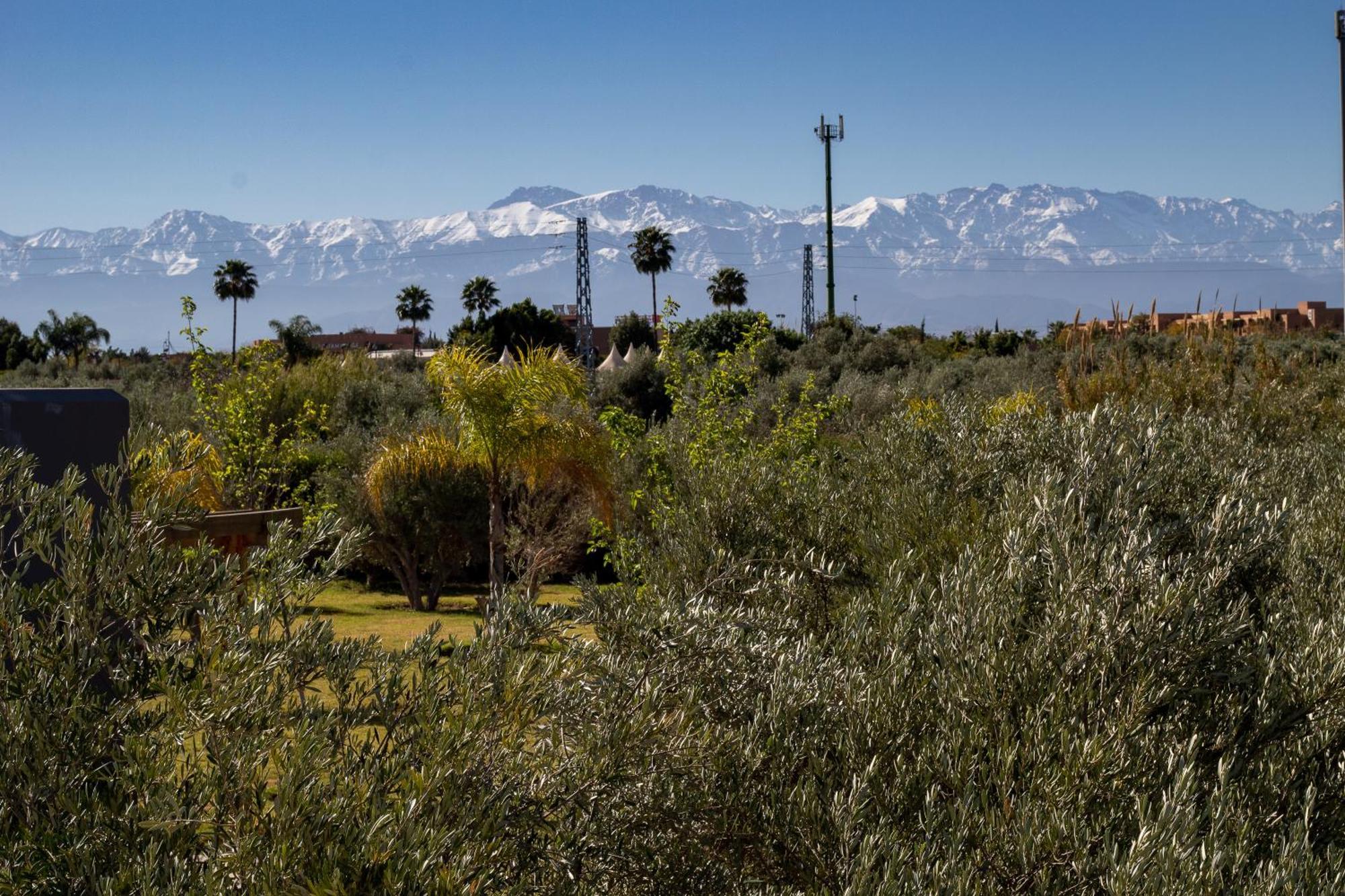 Villa Jardins D'Isa Marrakesh Buitenkant foto