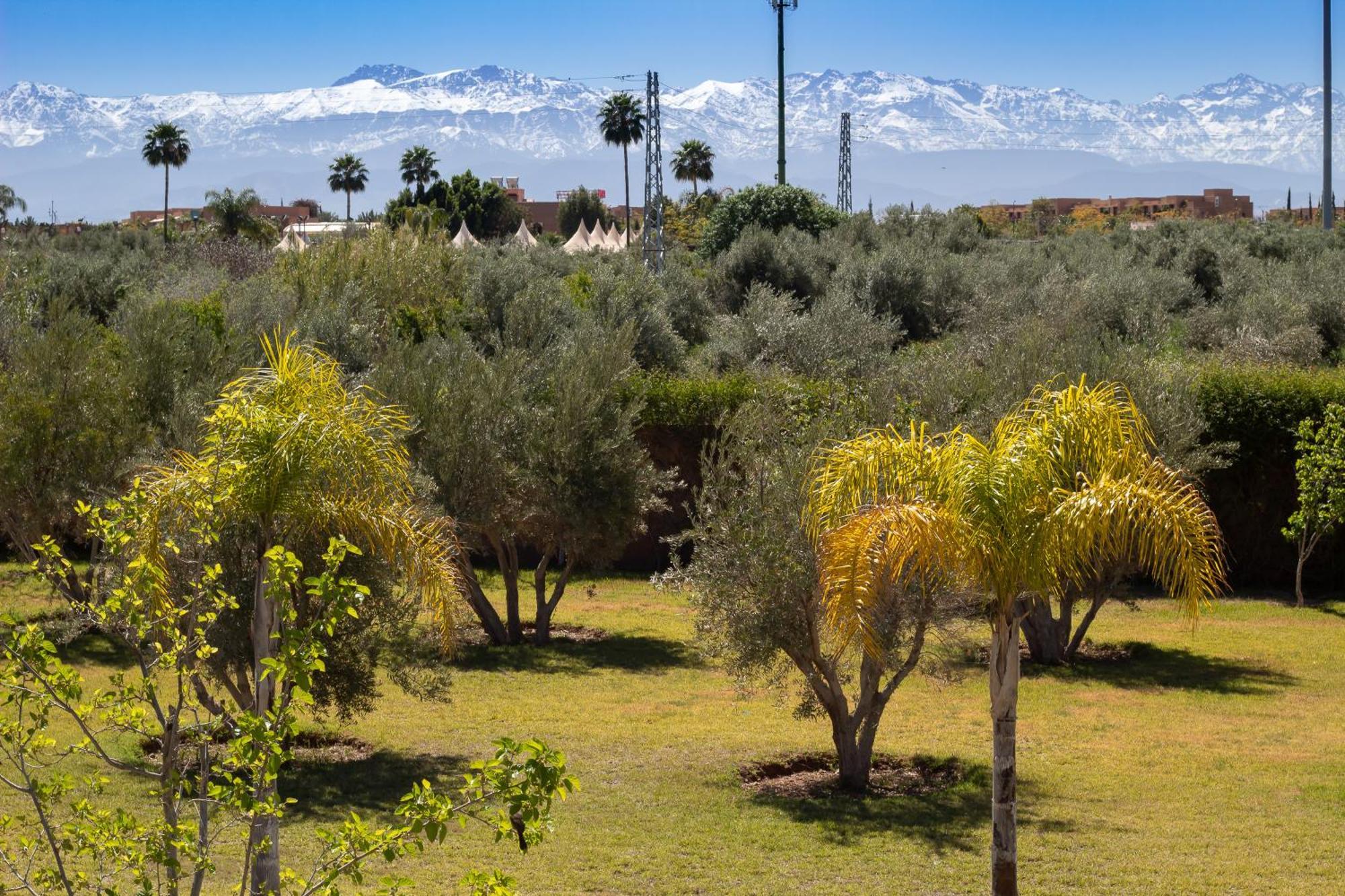 Villa Jardins D'Isa Marrakesh Buitenkant foto